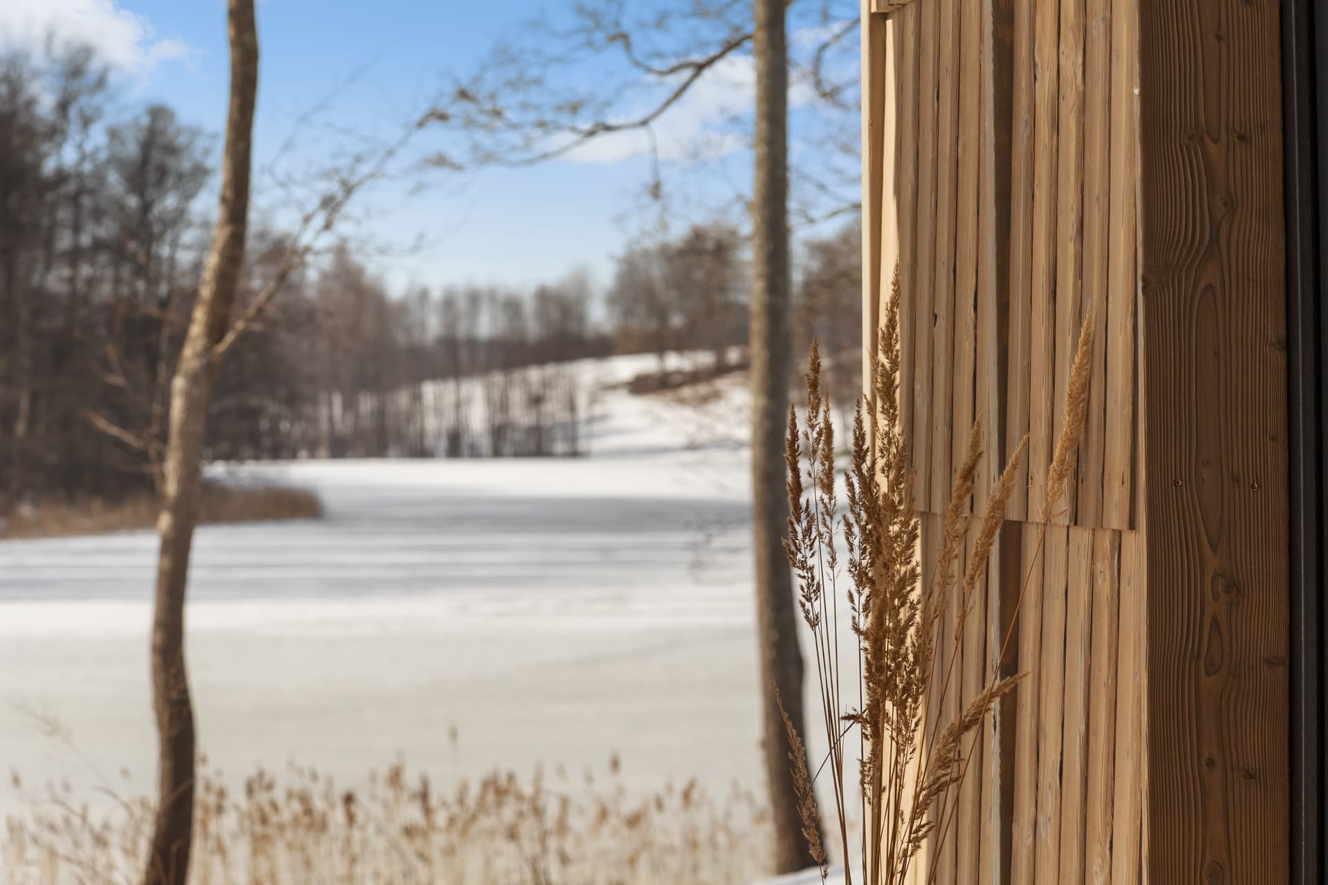 Cladding detail with frozen lake